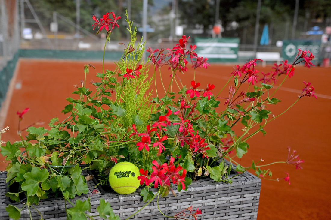 World-Class Tennis, Accessible to All