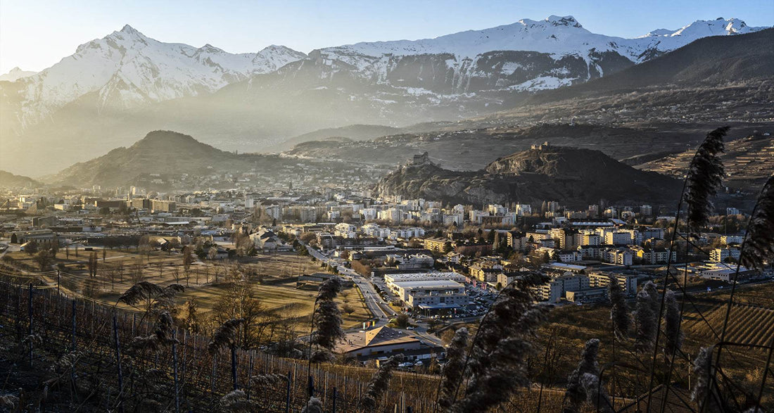 Welcome to the AXA Open de Sion 2023
